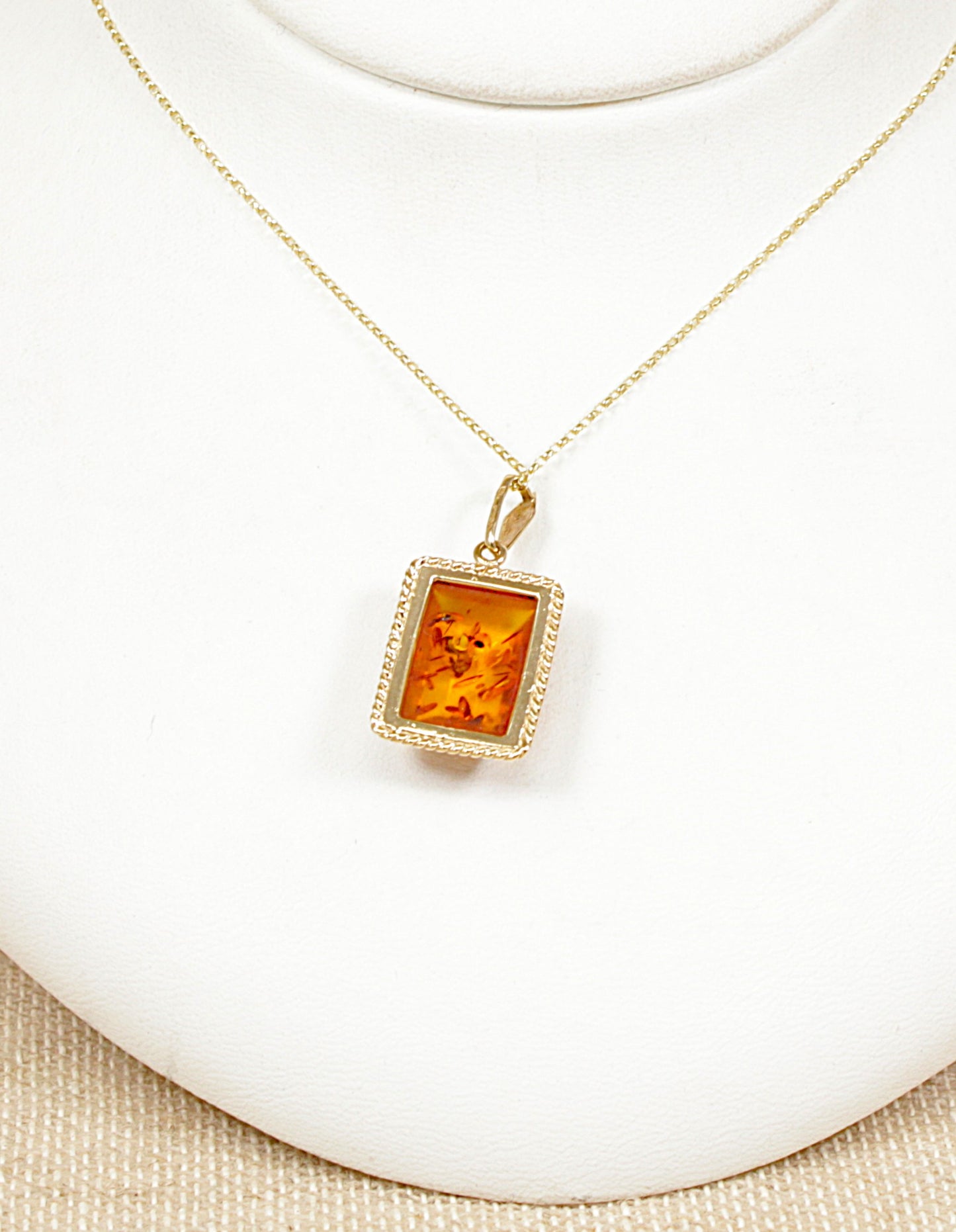 9ct Gold Amber Pendant and Chain Necklace