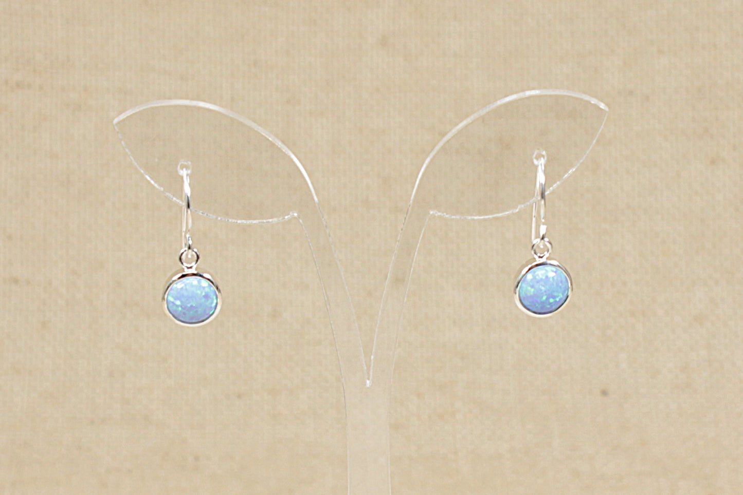 Silver Drop Earrings